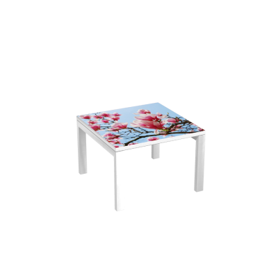 Table d'accueil 60 cm