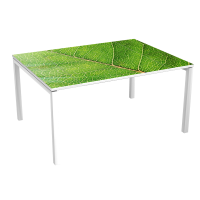 Table de Réunion 6 p