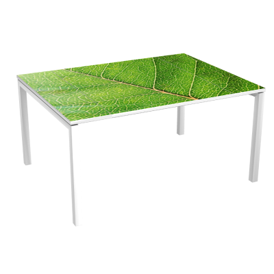 Table de Réunion 6 p