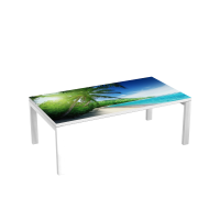 Table d'accueil 114 cm