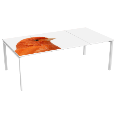 Table de Réunion 8 p